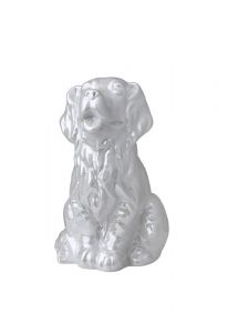 Dog cremation ashes urn glossy white