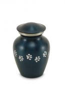 Pet cremation ashes urn 30.5 cu in