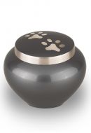 Pet cremation ashes urn 30.5 cu in